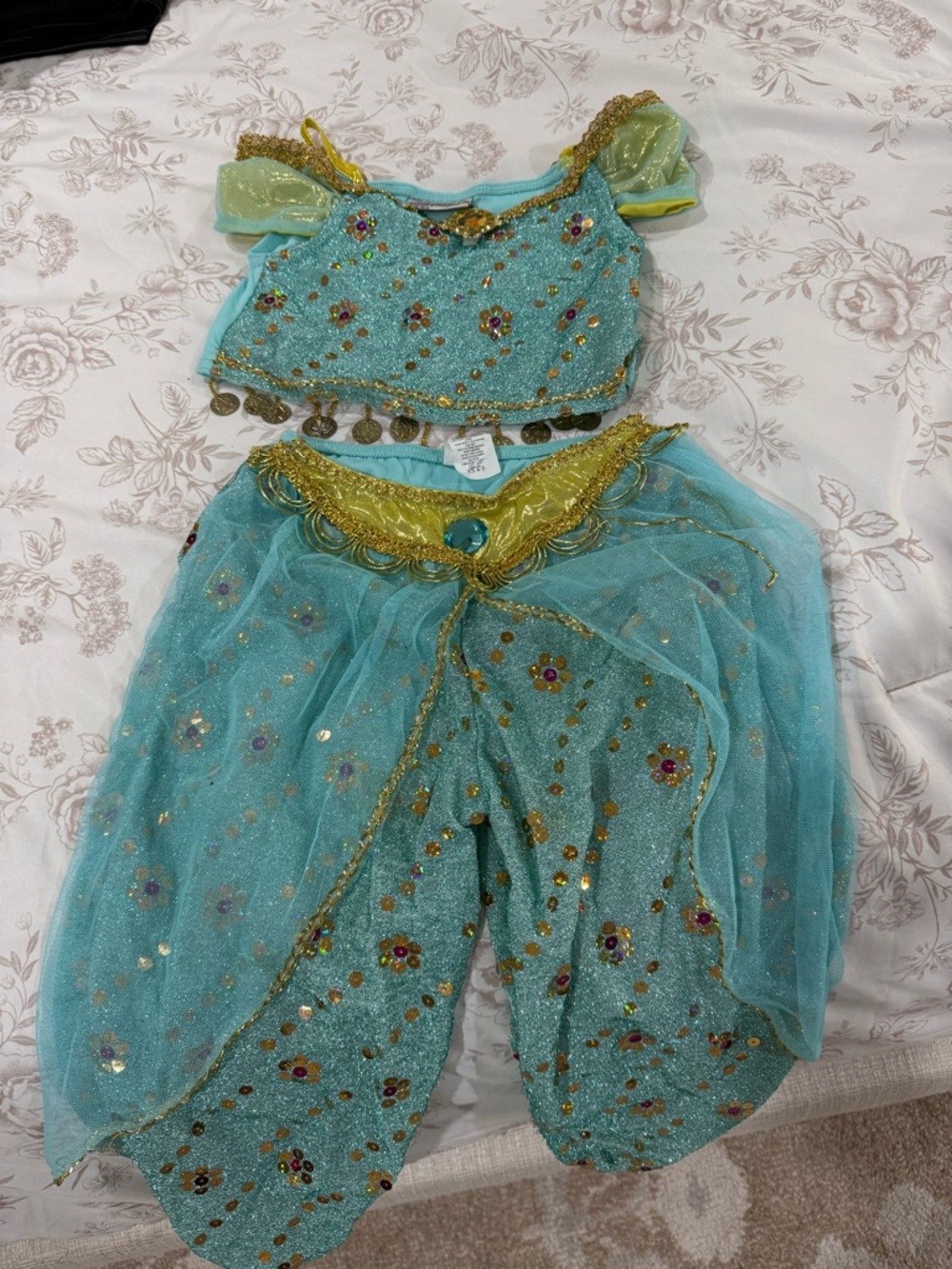 Disneyland park Jasmine Costume
